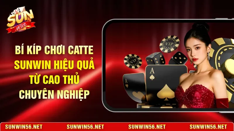 Bí Kíp Chơi Catte Sunwin Hiệu Quả Từ Cao Thủ Chuyên Nghiệp